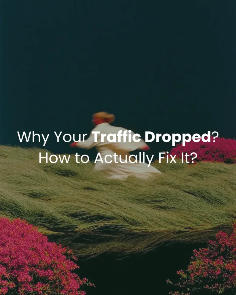Why Your Traffic Dropped? How to Actually Fix It?
