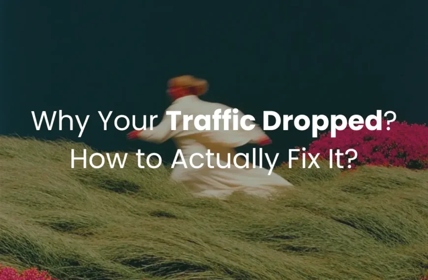 Why Your Traffic Dropped? How to Actually Fix It?
