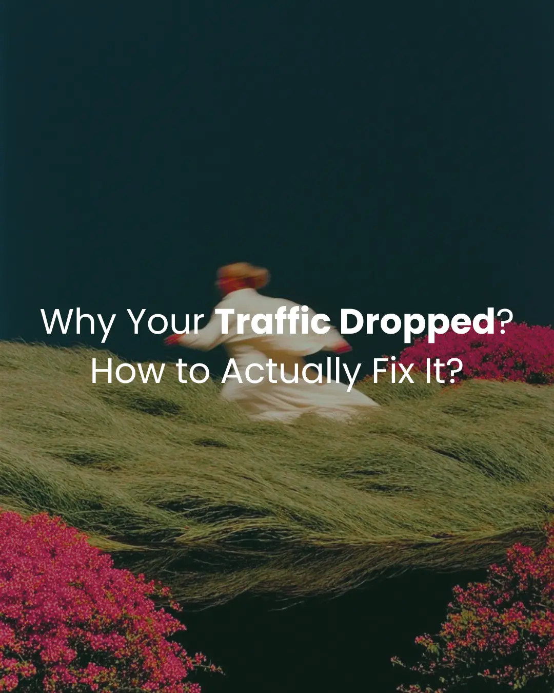 Why Your Traffic Dropped? How to Actually Fix It?